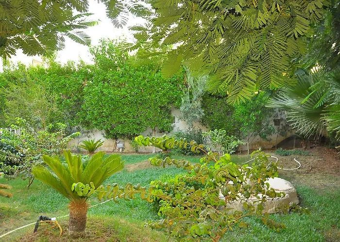 Shahrazad Sheikh * שארם א-שייח