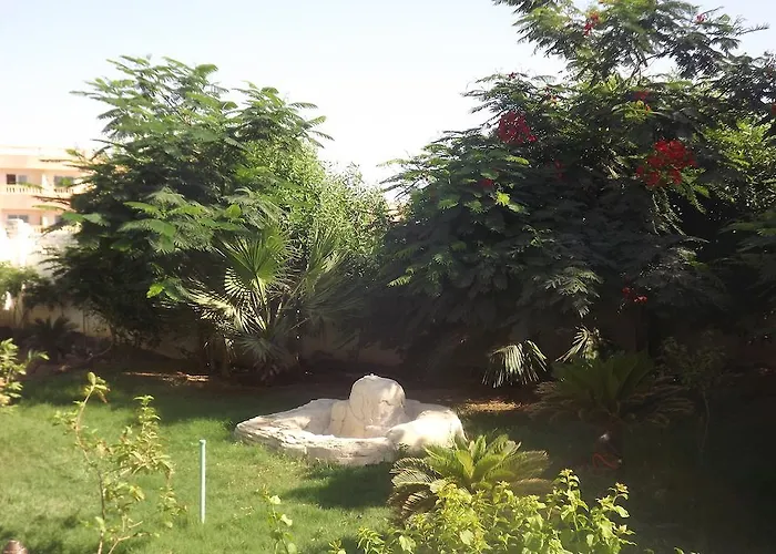 Shahrazad Sheikh * Şarm El-Şeyh